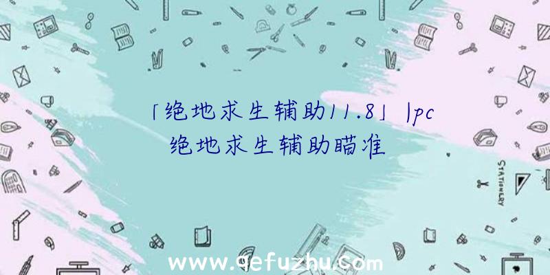 「绝地求生辅助11.8」|pc绝地求生辅助瞄准